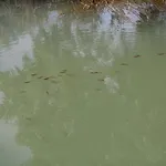 Aldeamento Turístico Quinta Da Devesa -b2