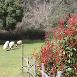 Quinta Da Devesa -b2 Vinhais