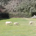 Quinta Da Devesa -b2 * Виньяйш