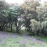 Quinta Da Devesa -b2 *