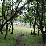 Quinta Da Devesa -b2 Vinhais