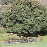 Aldeamento Turístico Quinta Da Devesa -b2 Vinhais