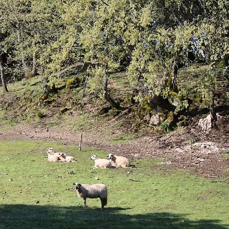 Πάρκο διακοπών Quinta Da Devesa -b2 *