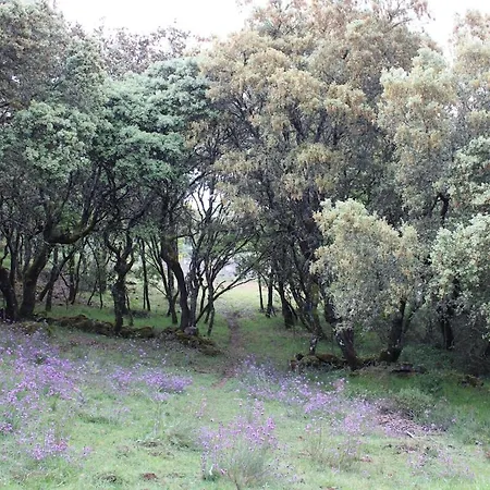 Quinta Da Devesa -b2 Πάρκο διακοπών Vinhais