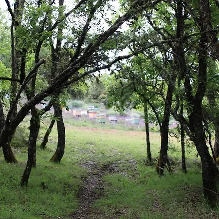 Quinta Da Devesa -b2 Vinhais