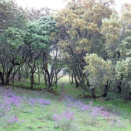 Quinta Da Devesa -b2 Parque de vacaciones