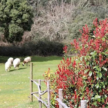 Quinta Da Devesa -b2 Parque de vacaciones Vinhais