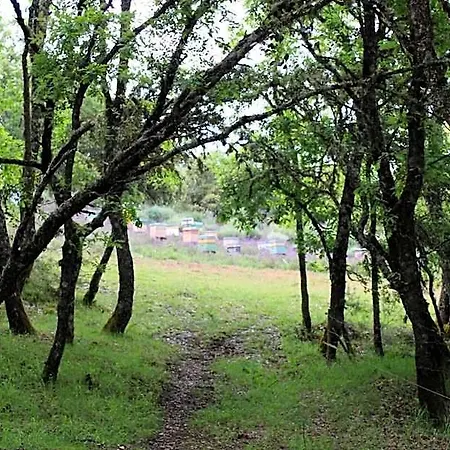 Quinta Da Devesa -b2 *
