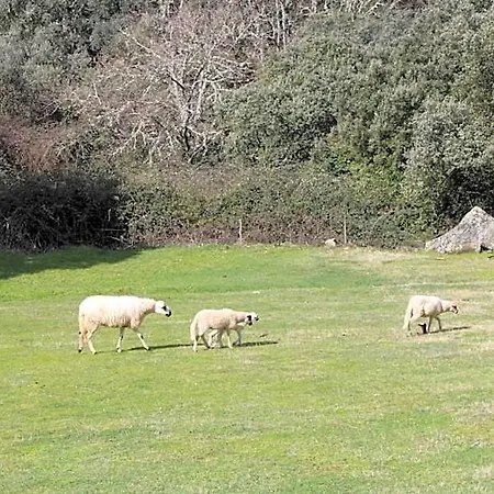 Parque de vacaciones Quinta Da Devesa -b2 Vinhais