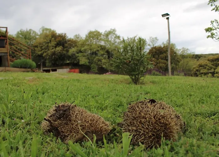 Quinta Da Devesa -b2 * Vinhais