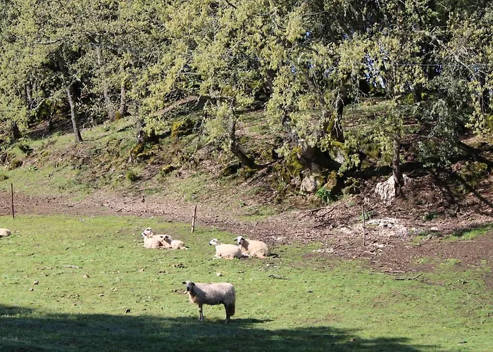 Tatil parkı Quinta Da Devesa -b2 *