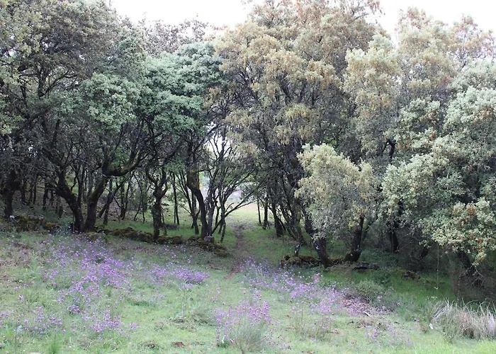 Quinta Da Devesa -b2 Aldeamento Turístico Vinhais