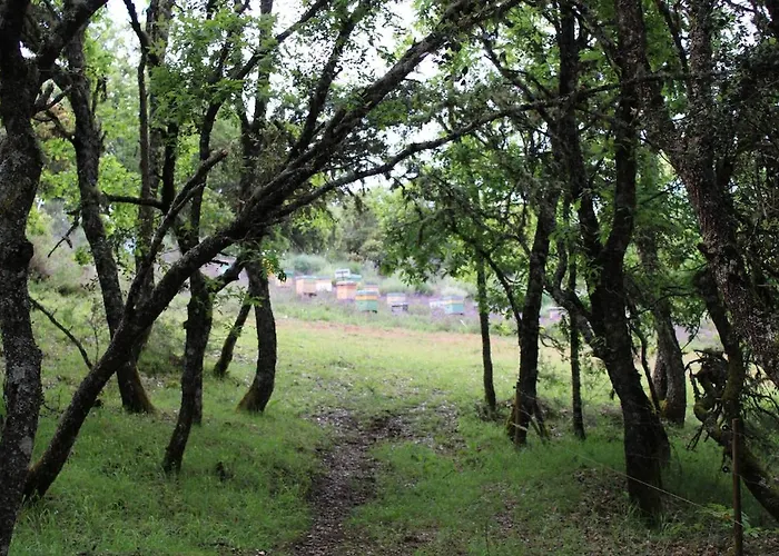 Quinta Da Devesa -b2 *